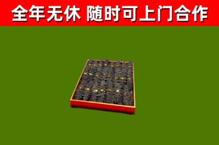滁州市回收海参